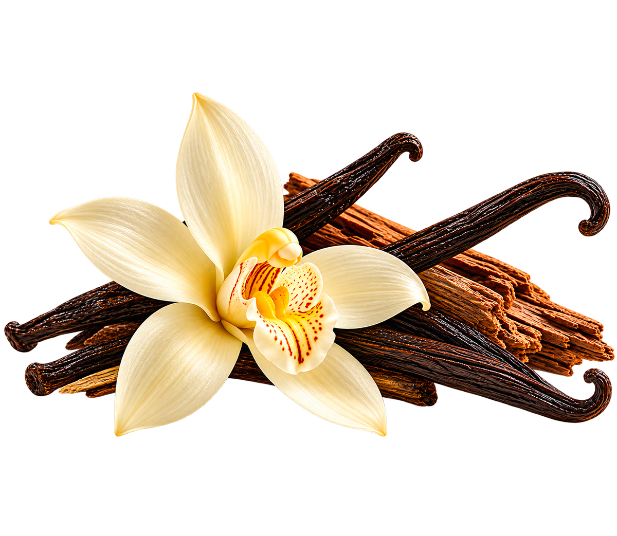VANILLA