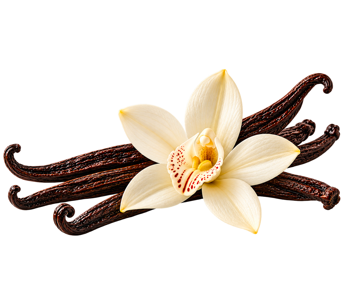 VANILLA