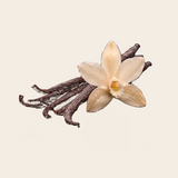 Bourbon Vanilla